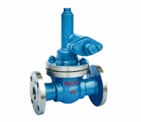 Slurry valve, discharge valve, exhaust valve, foot valve, fl