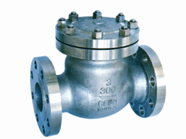 Pound level check valve