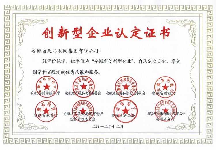 安徽省創新型企業認定證書2013